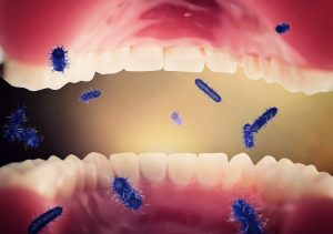 microbiota dental